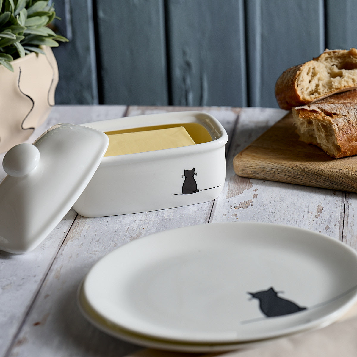 Cat Collection Butter Dish with side plates