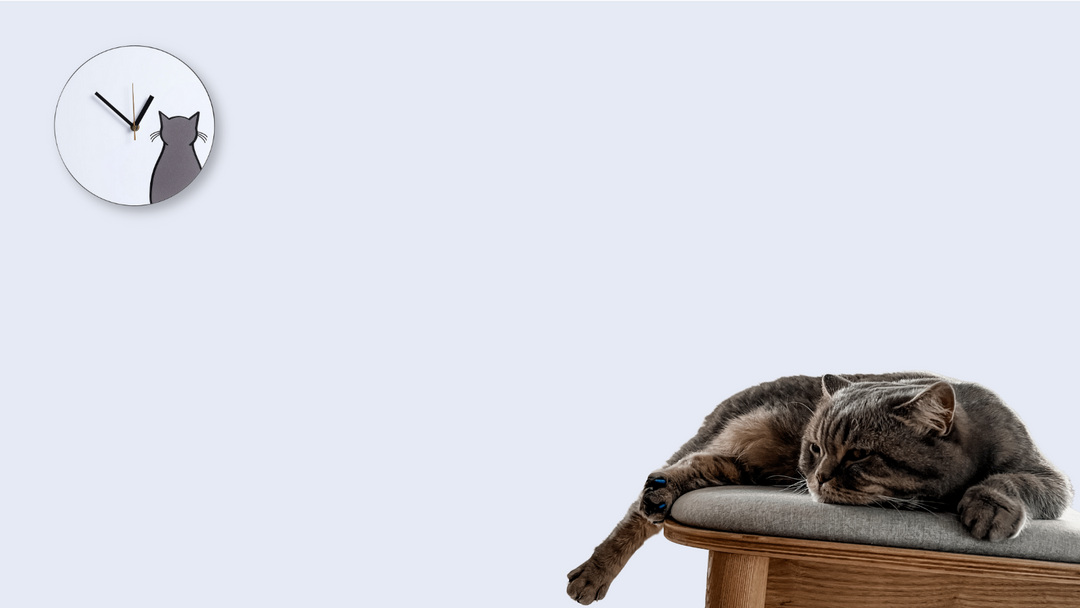 Why Do The Clocks Go Forward?