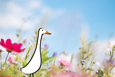 5 Signs Spring Has Sprung & What Wildlife You'll See in Your Garden And Beyond