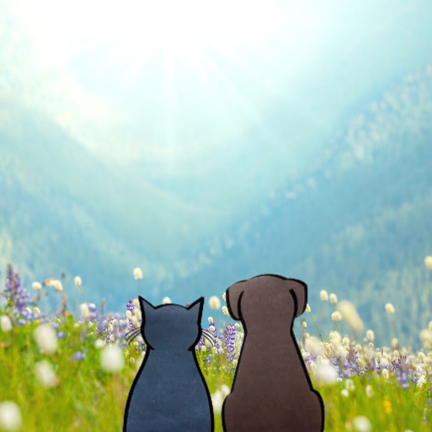 8 Unique Gifts for a Best Friend