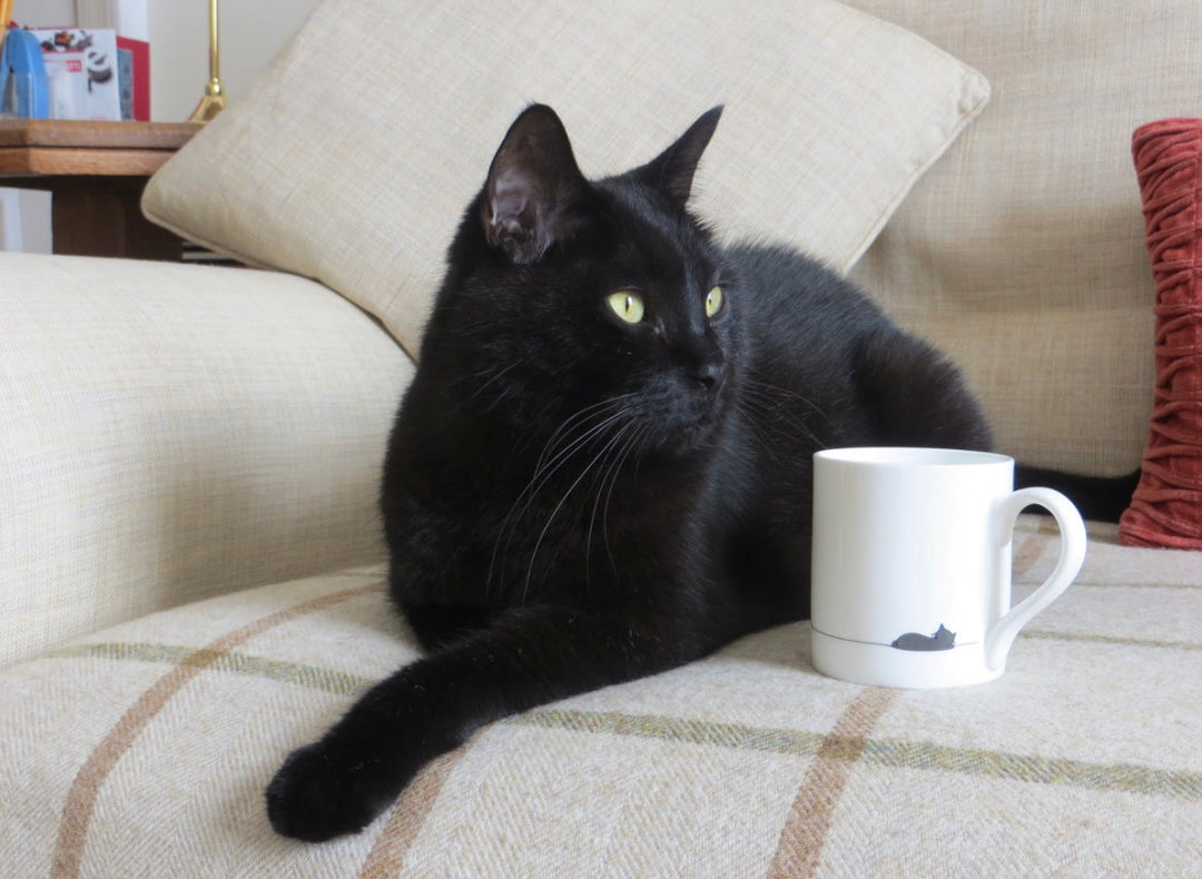 Jerry the Cat with Sleeping Cat Mug
