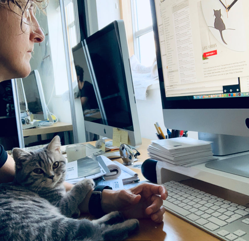 How to Survive Working From Home