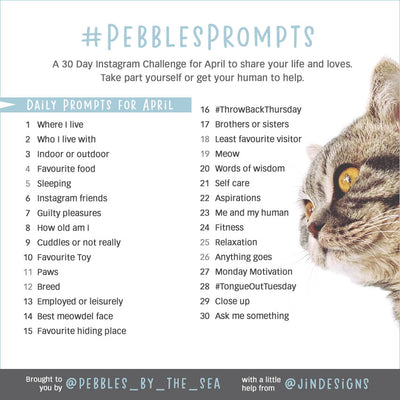 #PebblesPrompts - Instagram Challenge