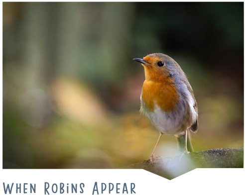 When robins appear... facts and folklore about Britain's best loved bird