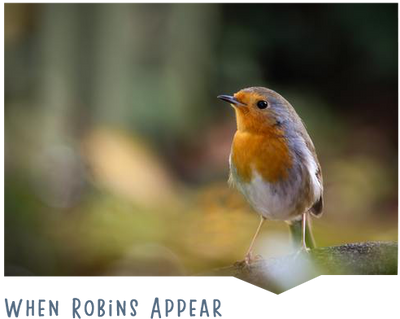 When robins appear... facts and folklore about Britain's best loved bird
