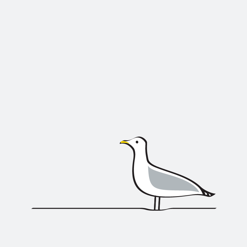 The Making of Seagull