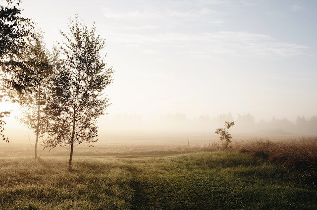 A Simple Guide to a Brighter Day