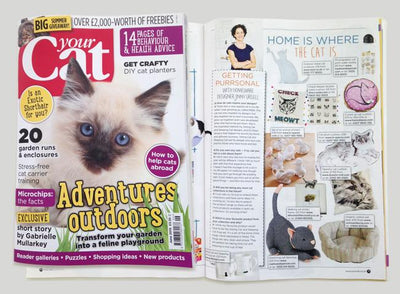 Interview for Jinny in Your Cat Magazine