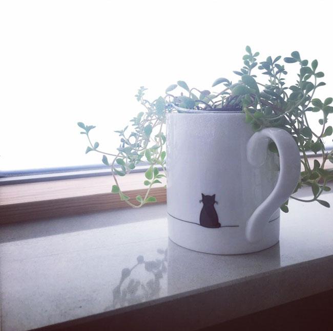 Alternative Uses for Mugs