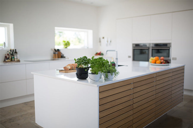 5 Useful Tips to Spring Clean Your Home
