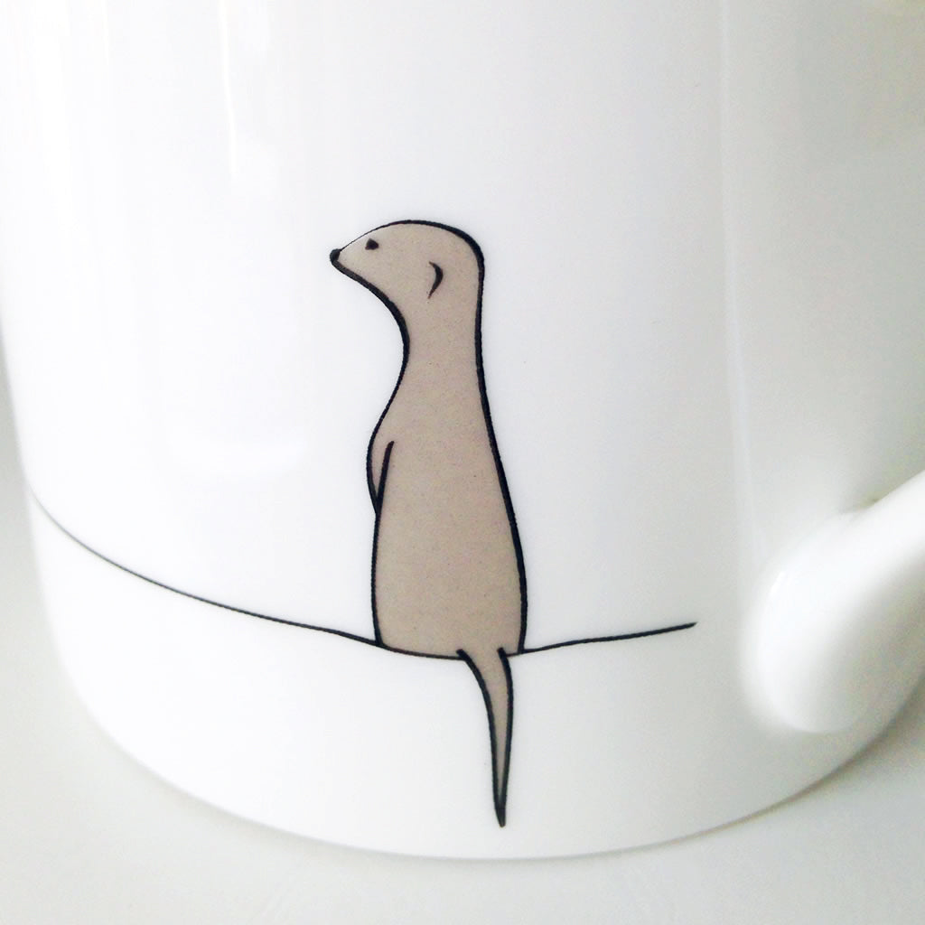 Meerkat