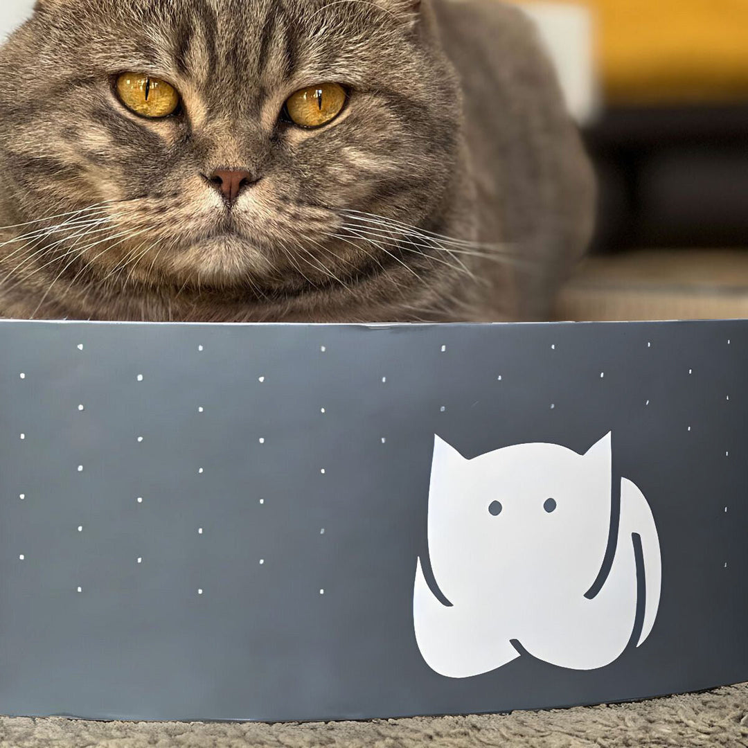 Cat Scratcher Beds