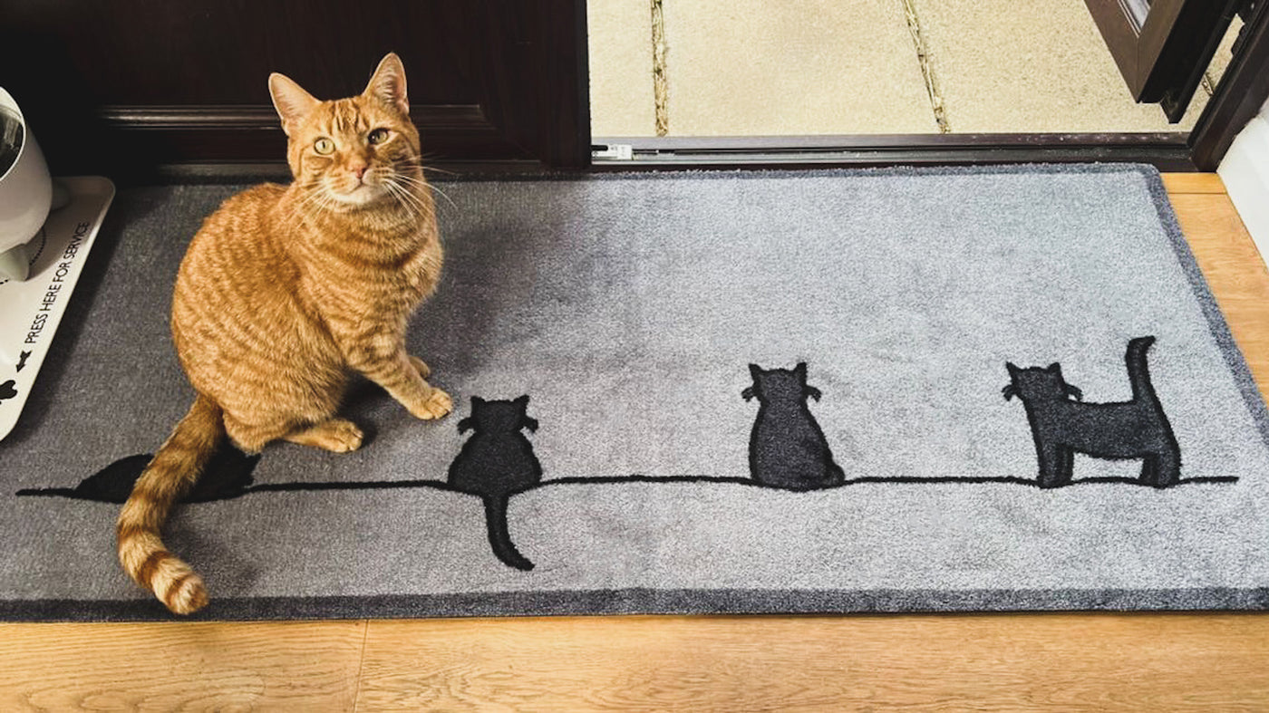 Shop Doormats
