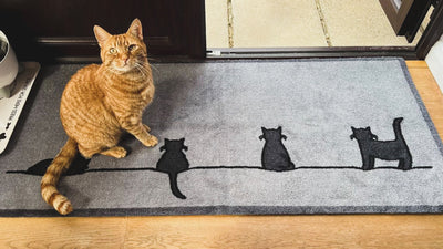 Shop Doormats