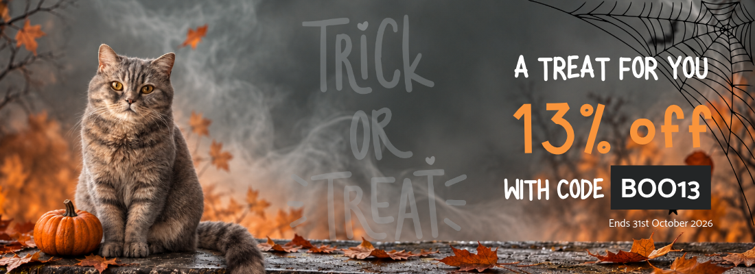 A promotional Halloween banner featuring a gray tabby cat sitting beside a small orange pumpkin on a leaf-strewn ground, with smoke, spiderwebs, and the text 'Trick or Treat,' 'A TREAT FOR YOU,' '13% off,' and 'WITH CODE BOO13' on the right.
