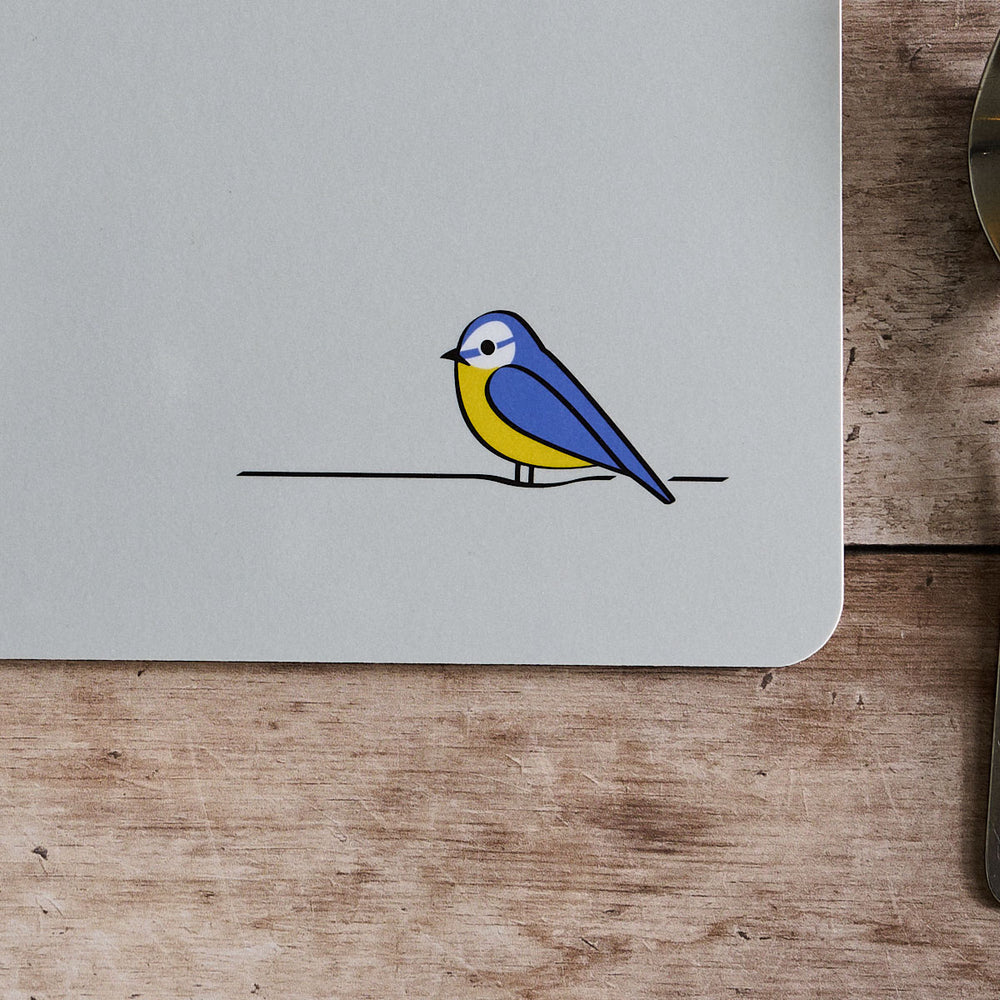 Blue Tit close up