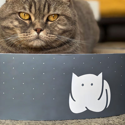 CatLoaf Cat Scratcher Bed with Pebbles the British Shorthair Blue Spotted Tabby