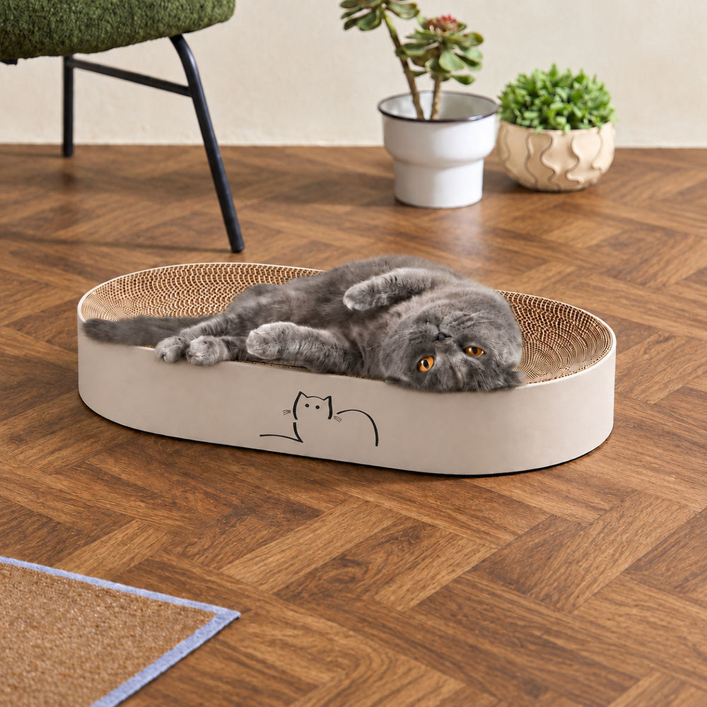 A British shorthair cat lies stretched out on a Jin Designs oval CatLoaf Cat Scratcher Bed with a woven scratching surface, placed on a wood floor in a styled room with potted plants and furniture legs visible.