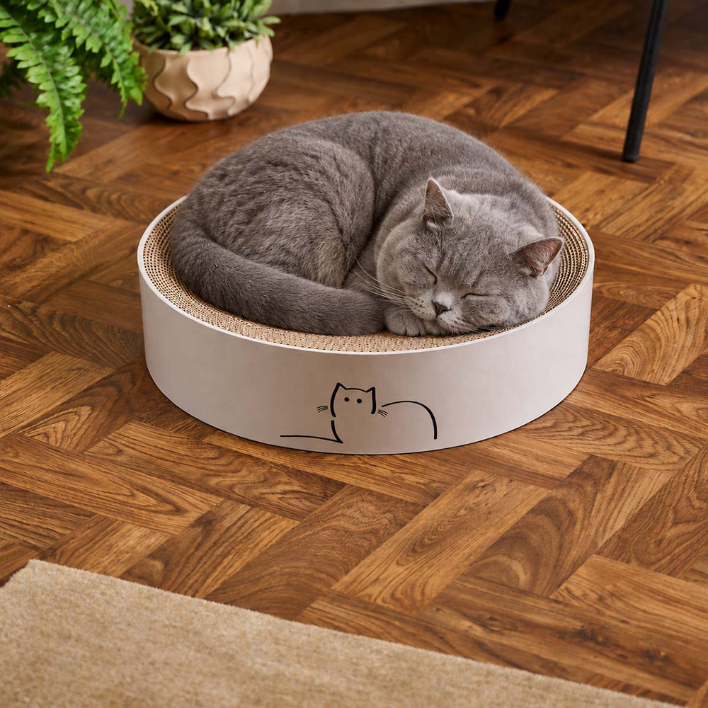 CatLoaf Cat Scratcher Bed with a sleeping British Shorthair Cat