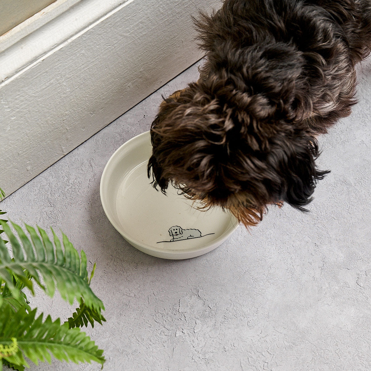 Fluffy Dog Bowl with Beau