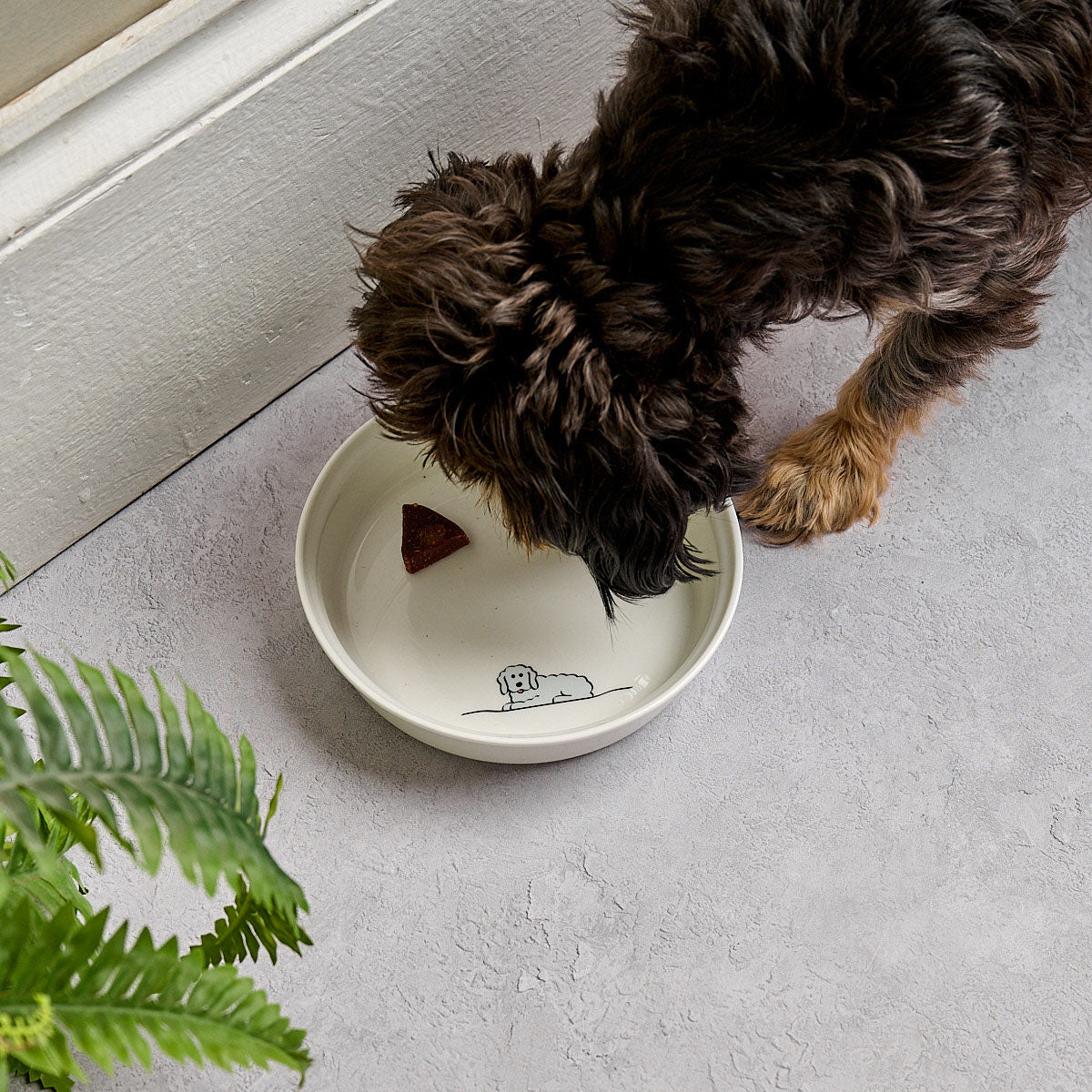 Fluffy Dog Bowl with Beau