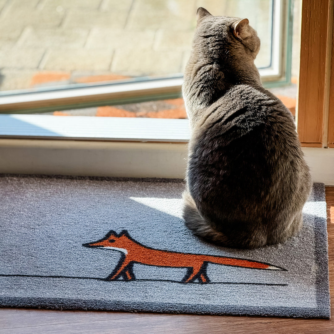 Cat on the Fox Doormat