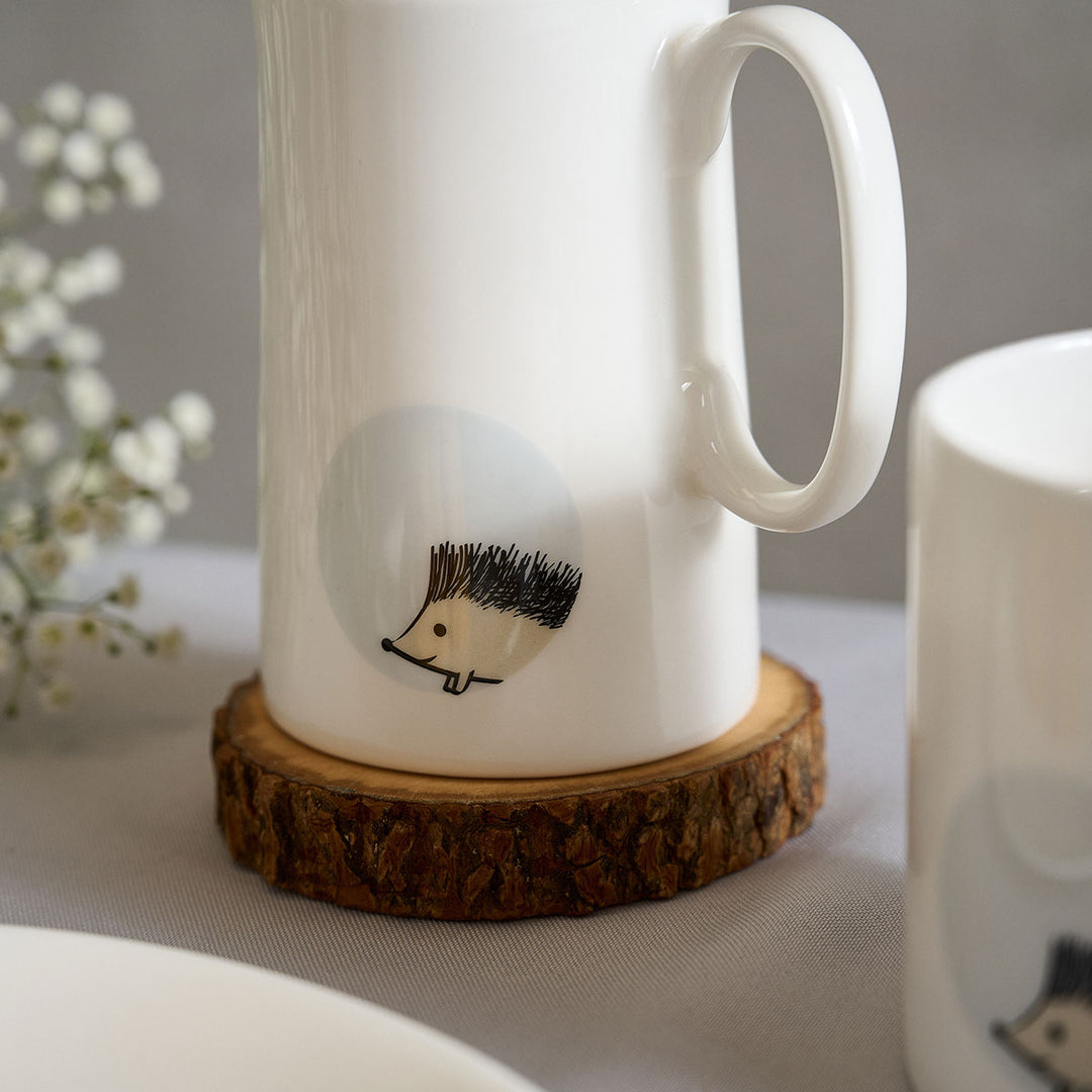 Hedgehog Jug Close Up