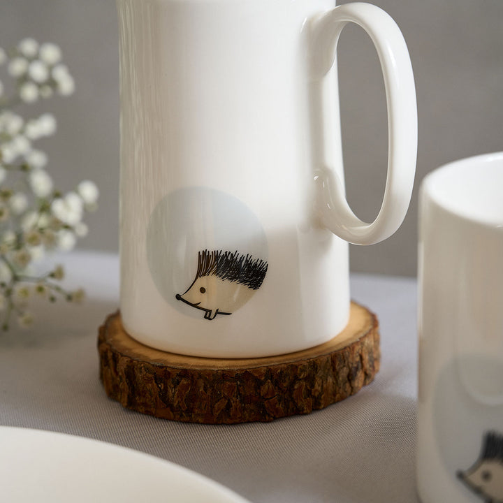 Hedgehog Jug Close Up