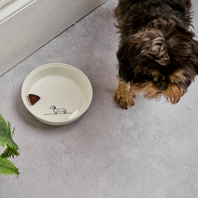 Dog Bowl with Sausage Dog and Beau the dog