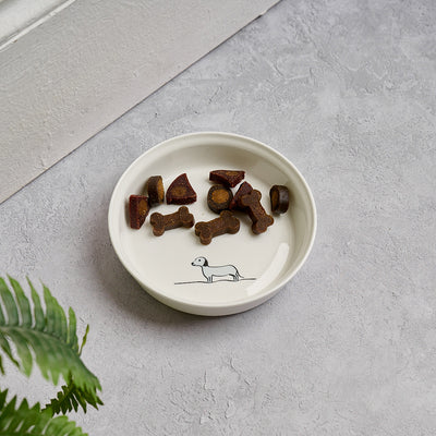 Dog Bowl with Sausage Dog and tasty dog treats