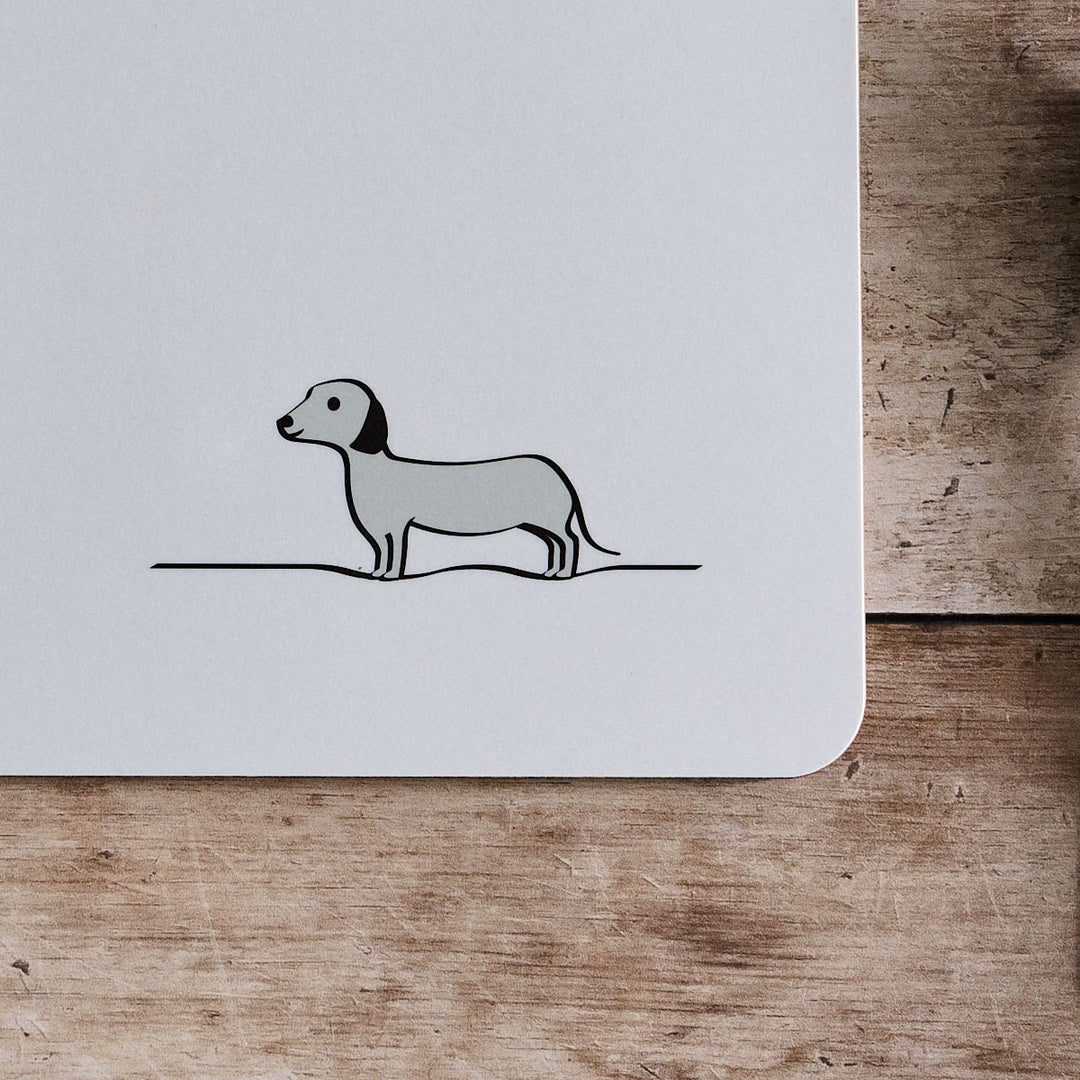 Sausage Dog close up

