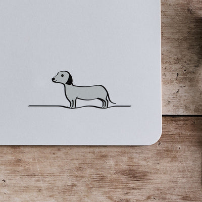 Sausage Dog close up
