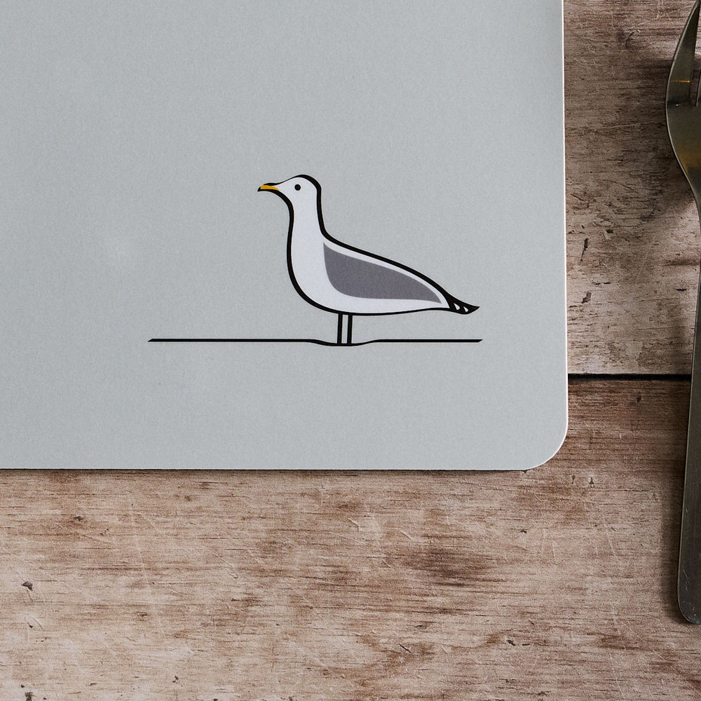 Seagull close up
