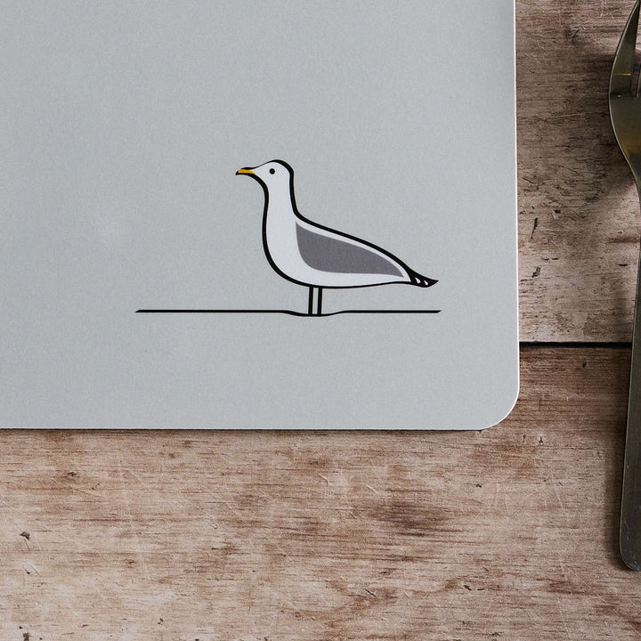 Seagull close up