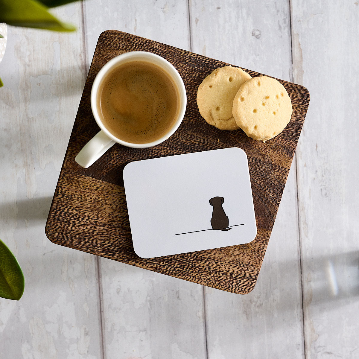 Sitting Dog Coaster with coffee and biscuits