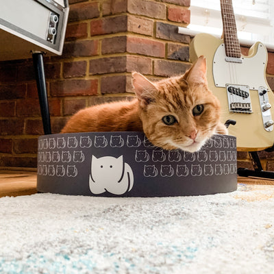CatLoaf Cat Scratcher Bed with Bertie