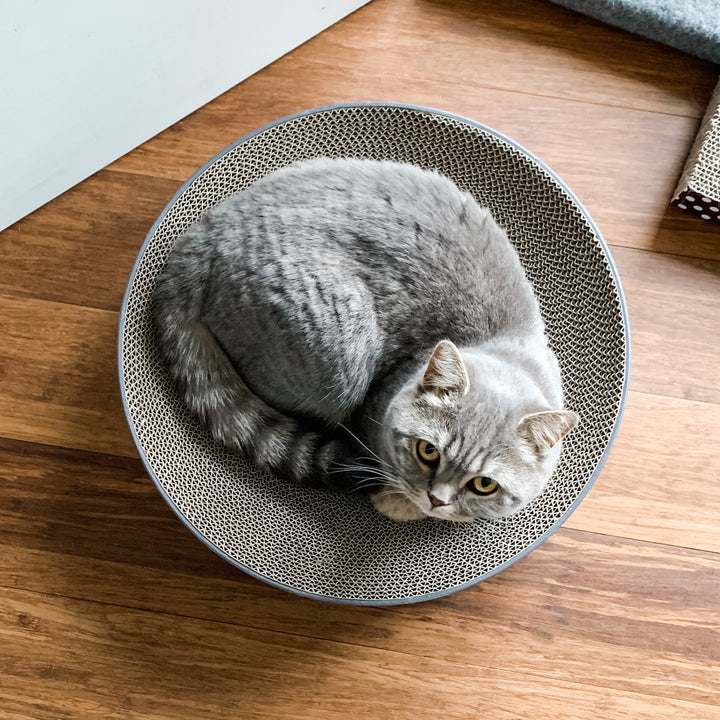 CatLoaf Cat Scratcher Bed with Pebbles