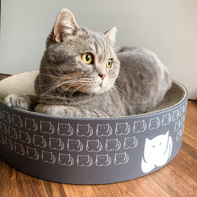 CatLoaf Cat Scratcher Bed with Pebbles