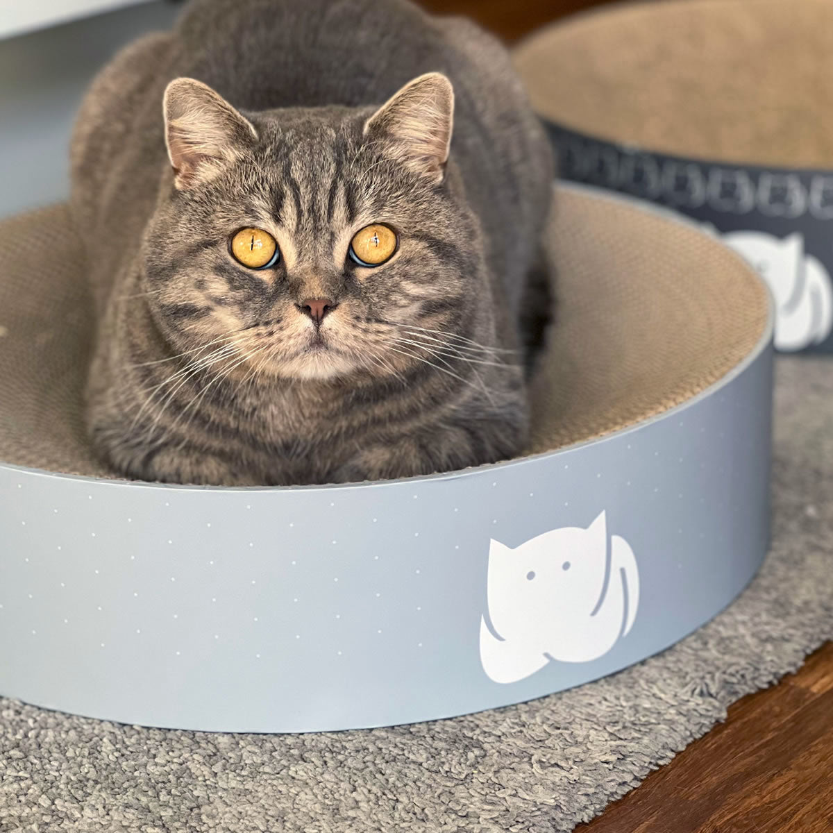 CatLoaf Cat Scratcher Bed with Pebbles - in Mid Grey
