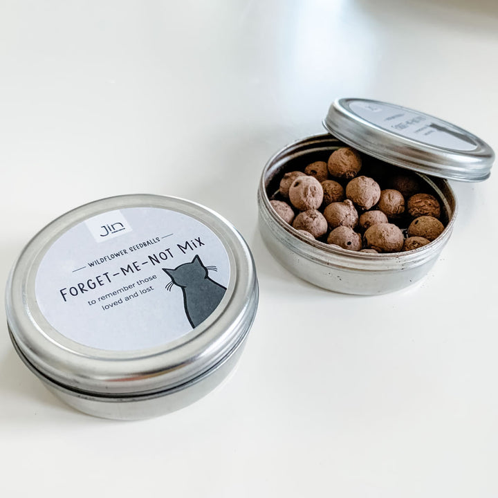 Forget-me-not Wildflower Seedballs with Sitting Cat