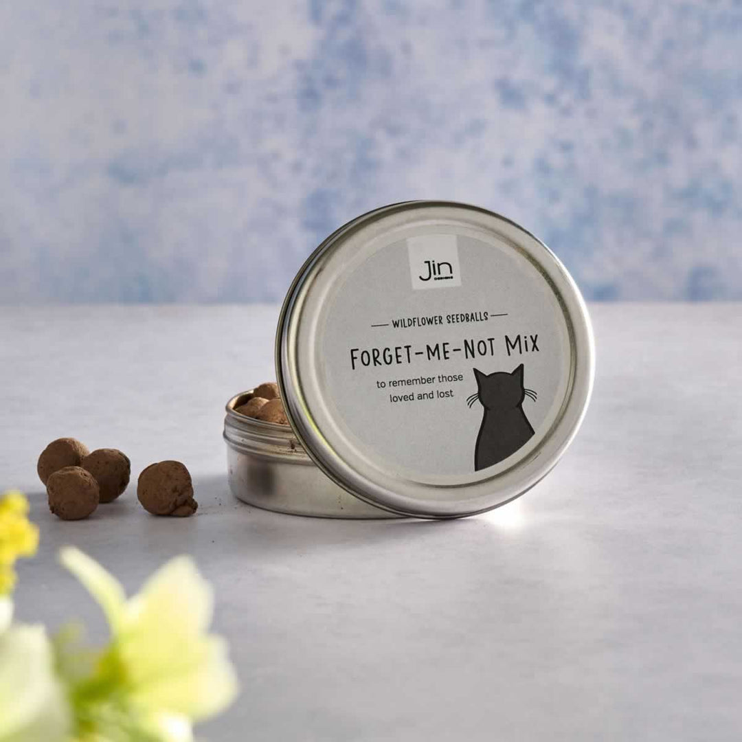 Forget-me-not Mix Wildflower Seedballs