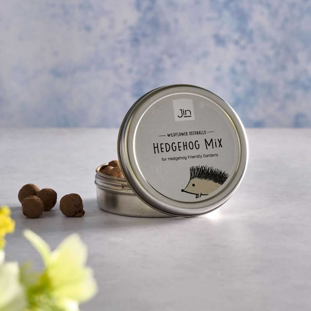 Hedgehog Mix Wildflower Seedballs