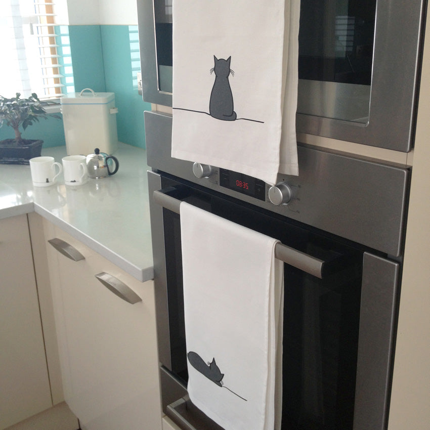 Sitting Cat and Sleeping Cat in the Kitchen
