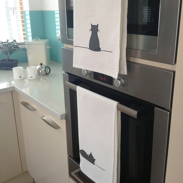 Sitting Cat and Sleeping Cat in the Kitchen